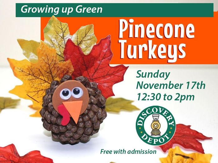 NOV17_PineconeTURKEYad