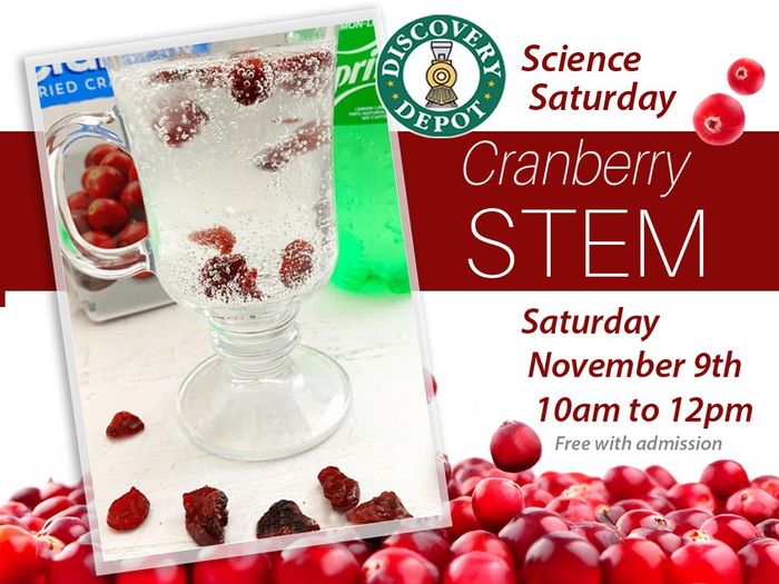 NOV9_CranberrySTEMad