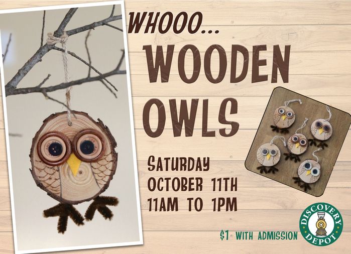 OCT11_owls