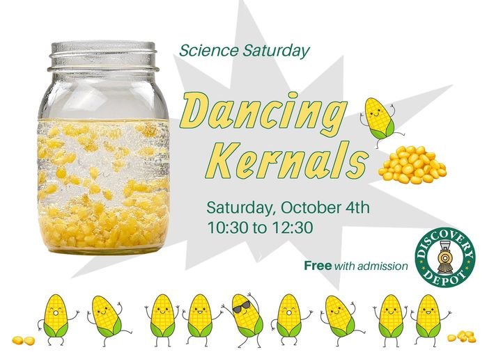 OCT4_kernels