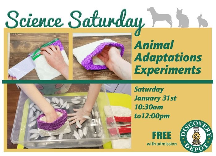 JAN31_ANIMAL.jpg